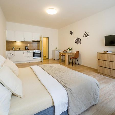 Apartia Vlhka 26, Brno-Center 외부 사진