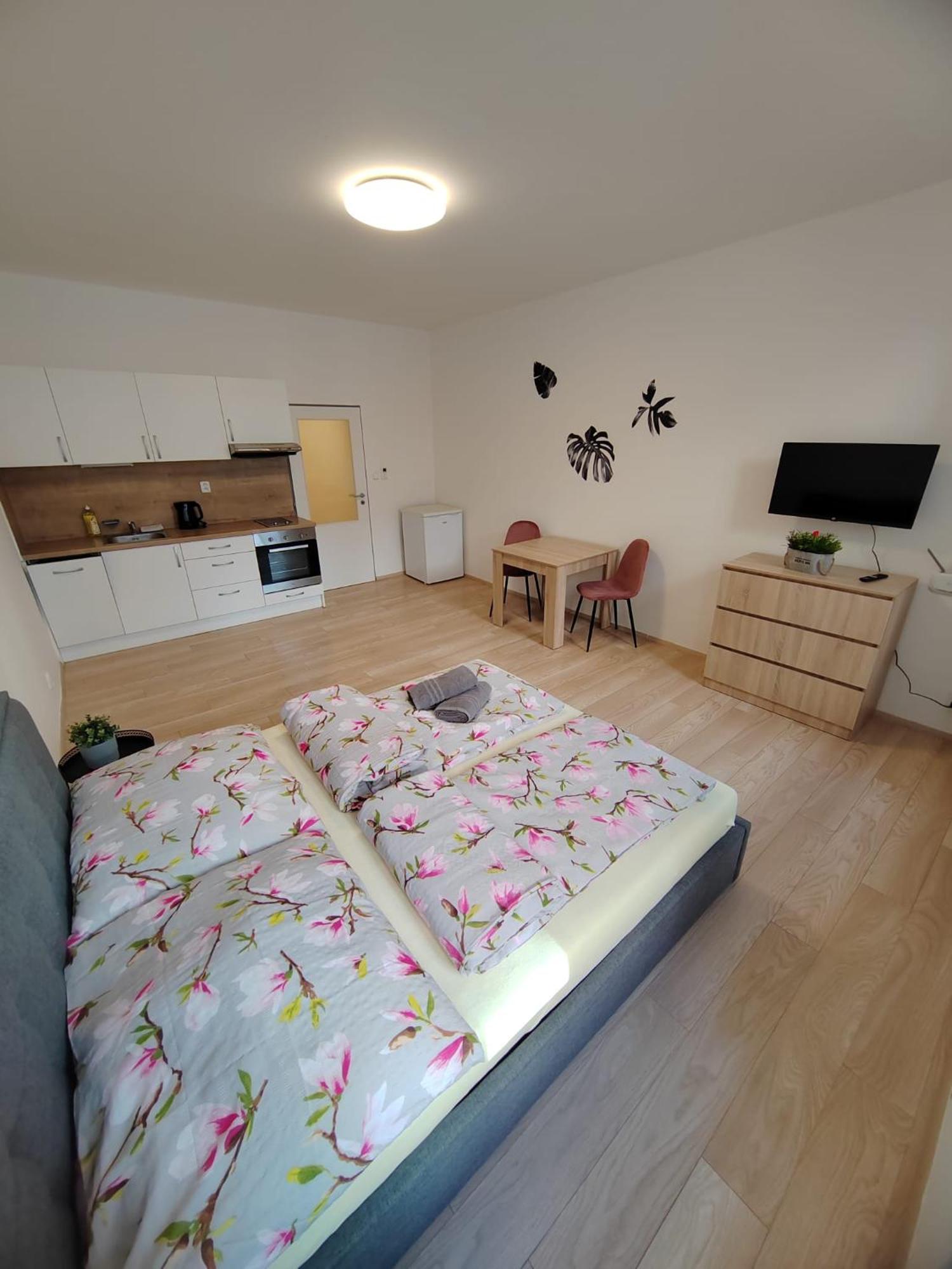Apartia Vlhka 26, Brno-Center 외부 사진