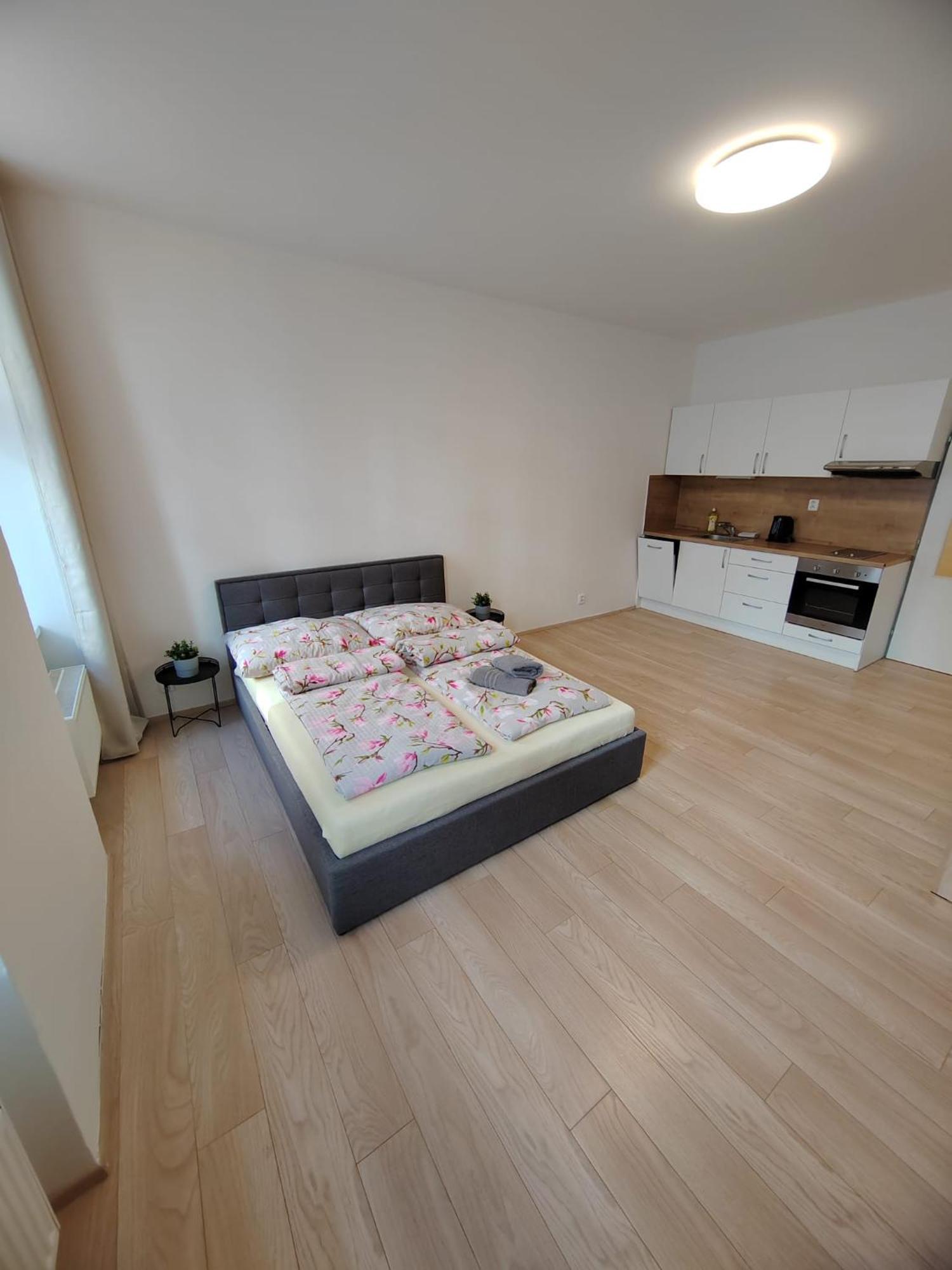 Apartia Vlhka 26, Brno-Center 외부 사진