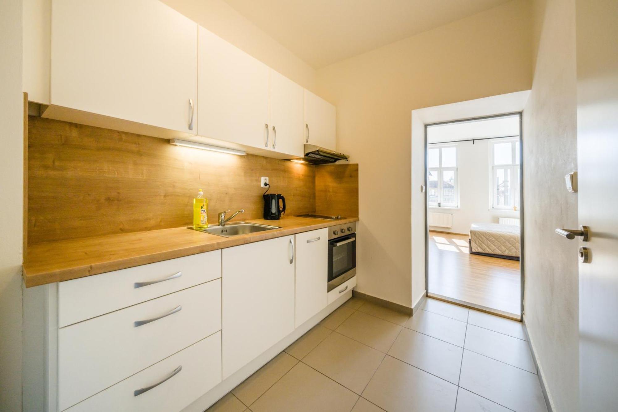 Apartia Vlhka 26, Brno-Center 외부 사진