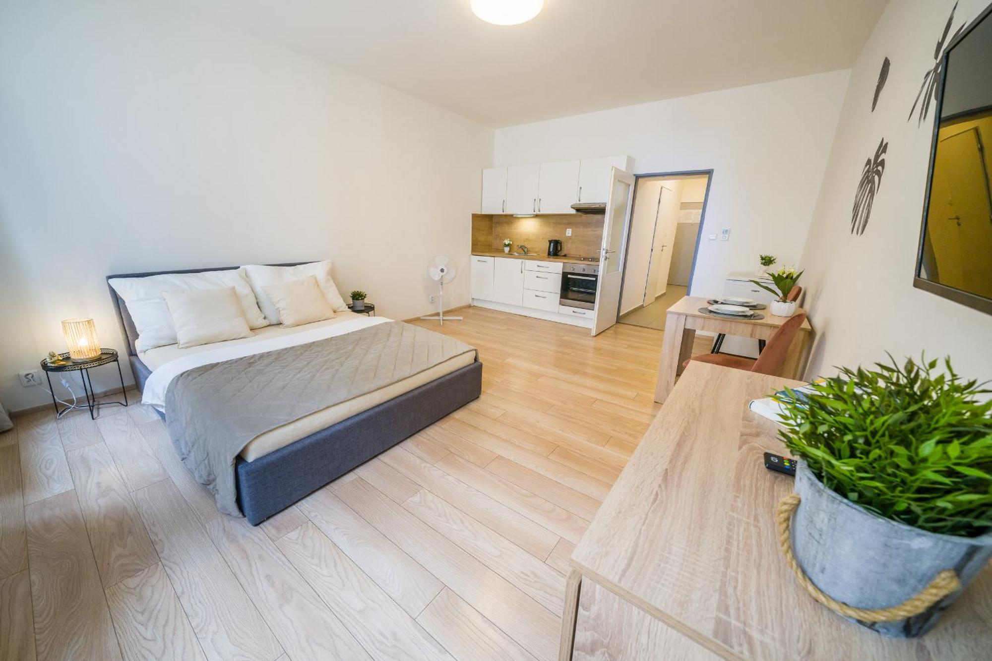 Apartia Vlhka 26, Brno-Center 외부 사진